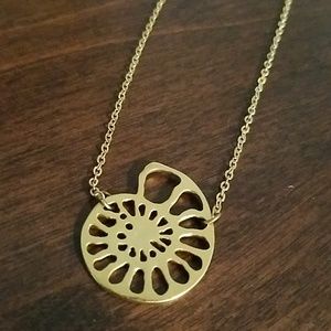 Gold Nautilus 🐚 Necklace